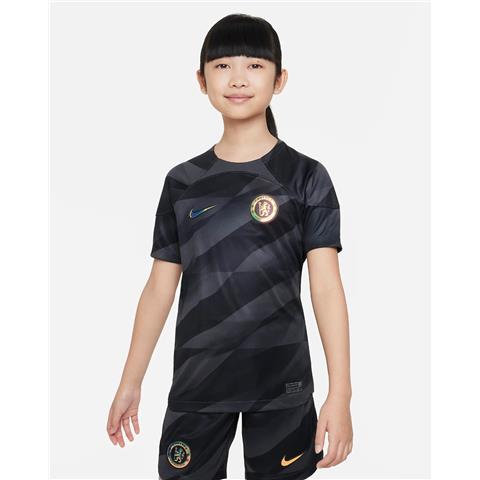 Nike Chelsea Stadium Goalkeeper Shirt 2023/24 DX2758-061
