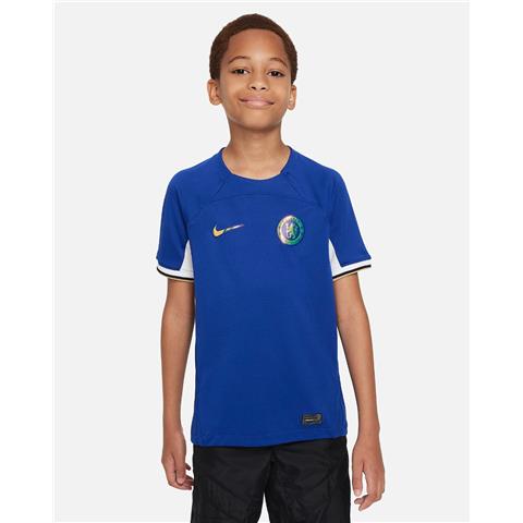 Nike Chelsea Stadium Home Shirt 2023/24 DX2759-496
