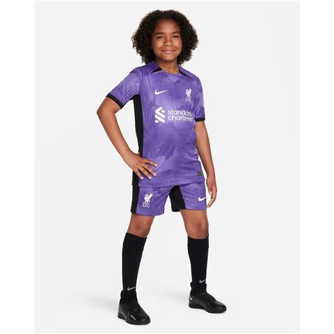Nike Liverpool 3rd Shorts 2023/24 DX9856-567