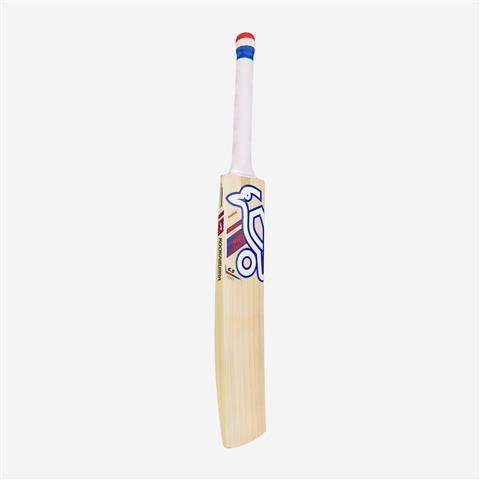 Kookaburra Rapid 6.5 Force Adult Bat SH
