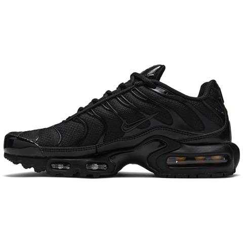 Nike Air Max Plus 604133-050