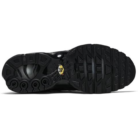 Nike Air Max Plus 604133-050