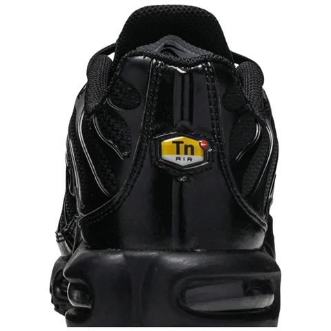 Nike Air Max Plus 604133-050