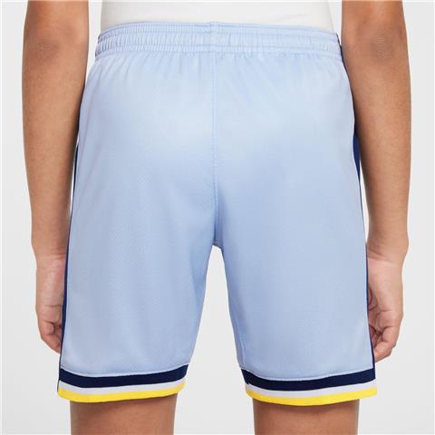 Nike Tottenham Hotspur Stadium Away Shorts 2024/25 FV7048-479