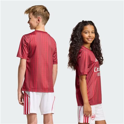 Adidas Arsenal 26 Pre Match Jersey JZ6908
