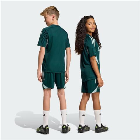 Adidas Arsenal Tiro 25 Comp Training Short JY5851