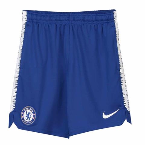 Nike Chelsea Training Shorts 920348-495