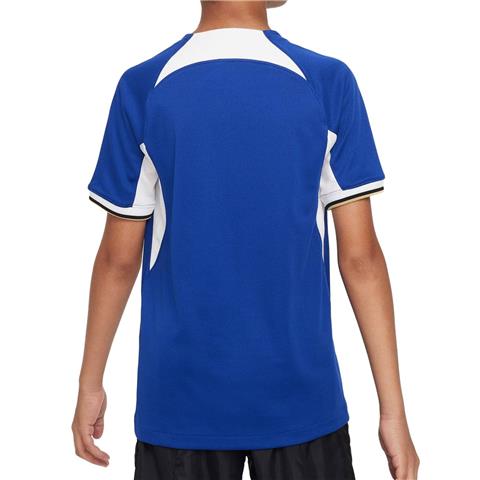 Nike Chelsea Stadium Home Shirt 2023/24 DX2759-496