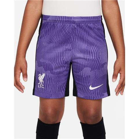 Nike Liverpool 3rd Shorts 2023/24 DX9856-567