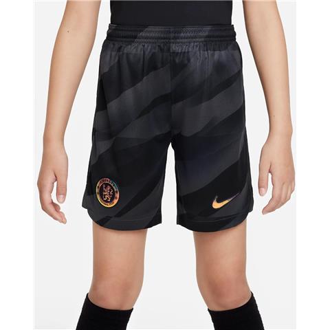 Nike Chelsea Stadium Goalkeeping Shorts 2023/24 DX2779-060
