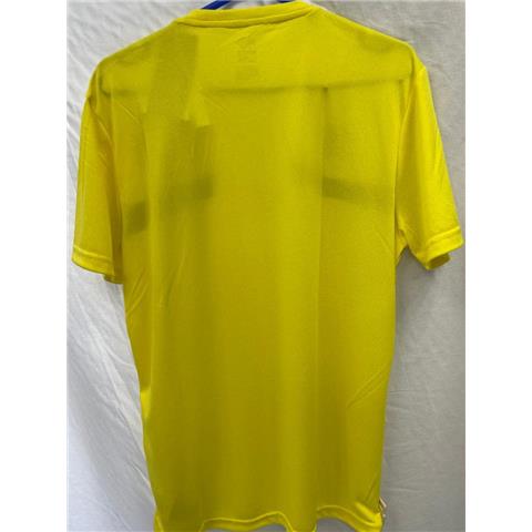 Queens Park Rangers Maglia Training Tee (Yellow/Black)