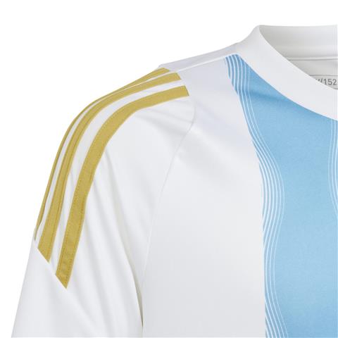 Adidas Pitch 2 Street Messi Training Jersey IS6470