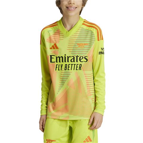Adidas Arsenal Goalkeeper Shirt 2024/25 IS8116