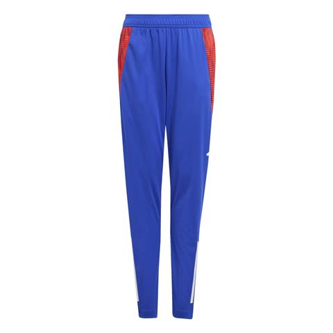 Adidas Tiro 24 Competition Training Pant JE1967