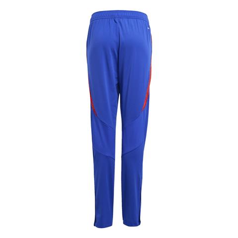 Adidas Tiro 24 Competition Training Pant JE1967