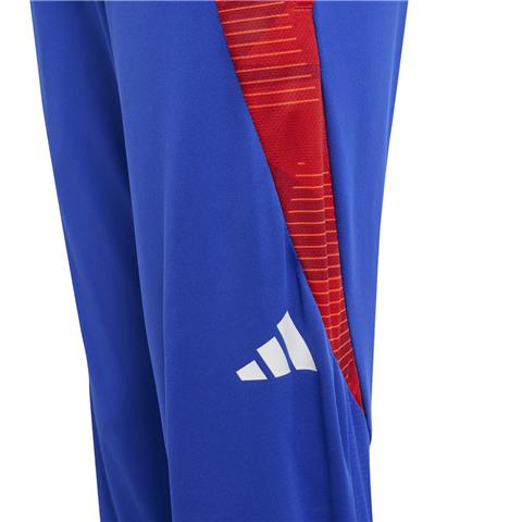 Adidas Tiro 24 Competition Training Pant JE1967