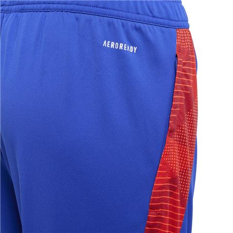 Adidas Tiro 24 Competition Training Pant JE1967