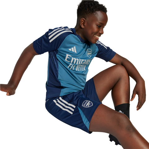 Adidas Arsenal Tiro 25 Competition Training Shorts JJ1812