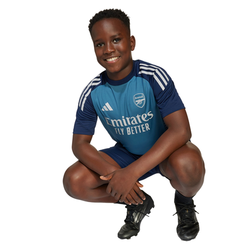 Adidas Arsenal Tiro 25 Competition Training Jersey JJ1820