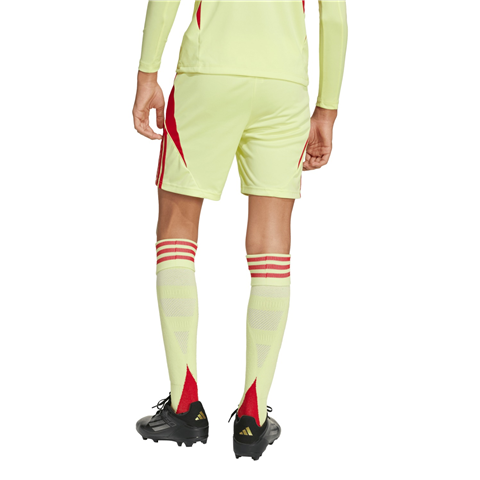 Adidas Arsenal Goalkeeper Shorts 2025/26 JN8950
