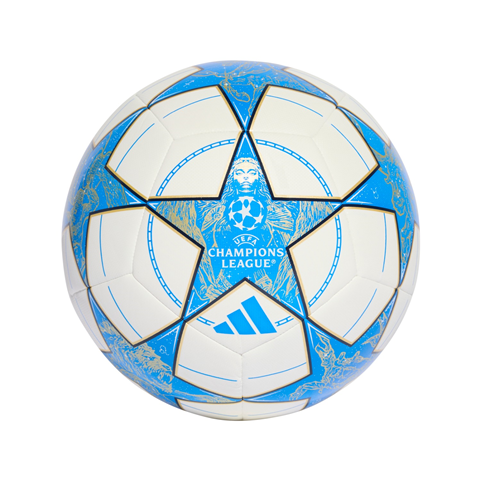 Adidas UCL Training Football 2025/26 JP1534