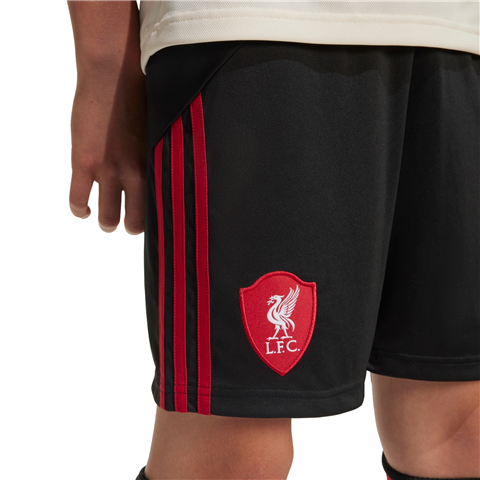 Adidas Liverpool Away Shorts 2025/26 JV6461