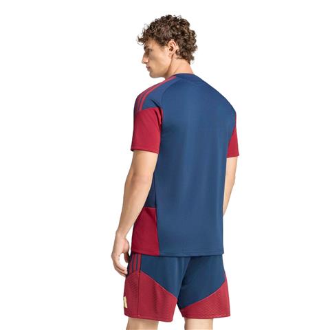 Adidas Arsenal EU Training Jersey KB9987