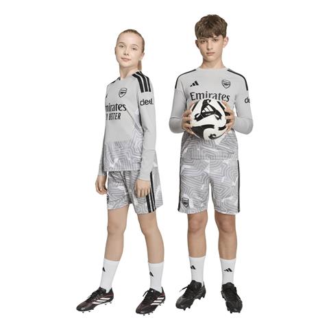 Adidas Arsenal Goalkeeper Shorts 2026/27 KY2183